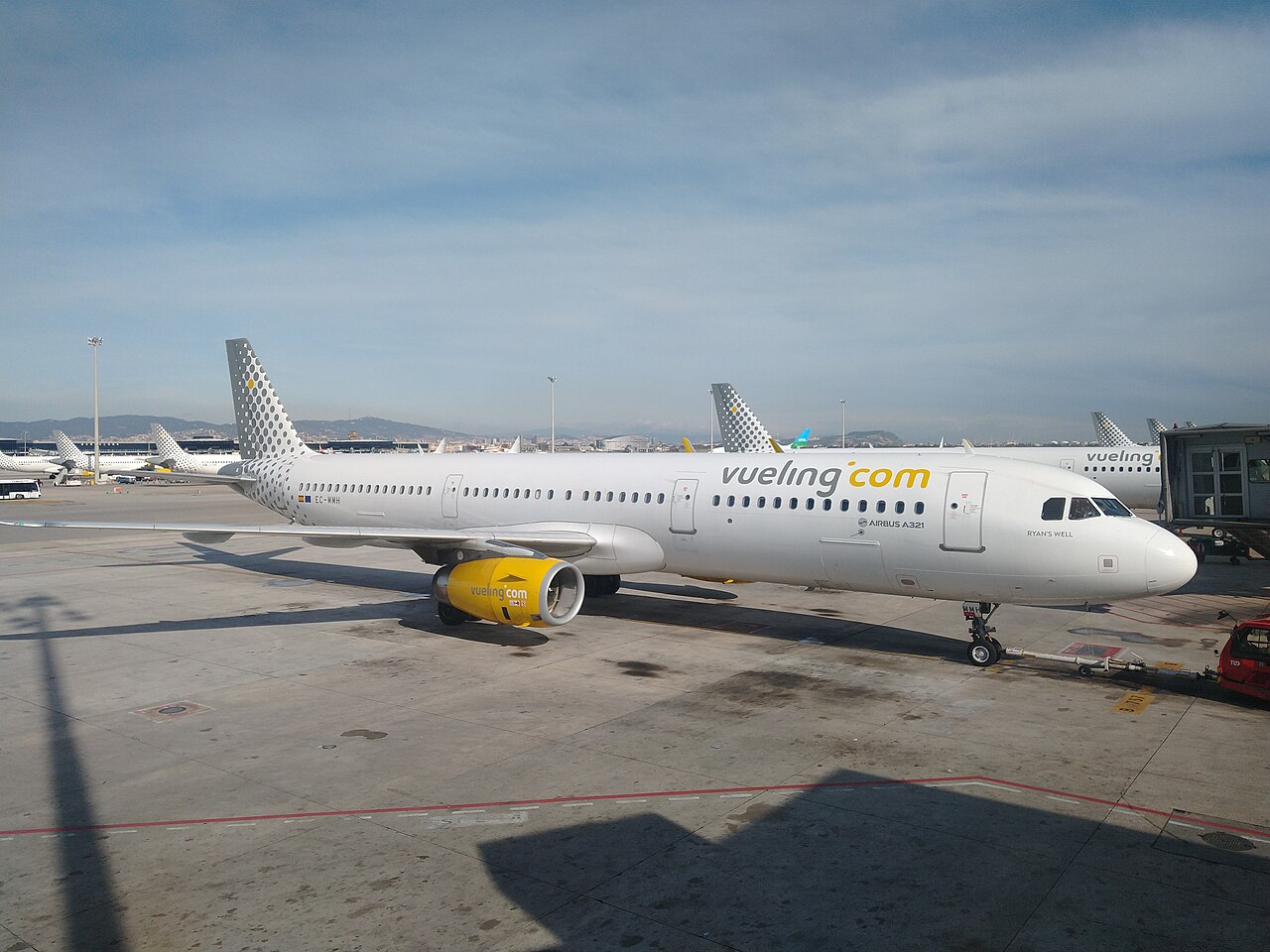 EC-MMH