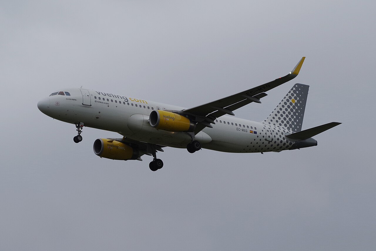 EC-MXG