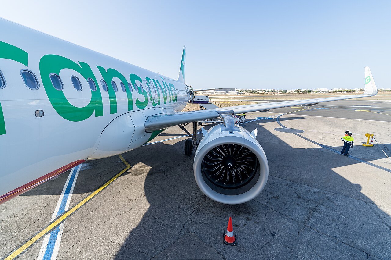 F-GNEO