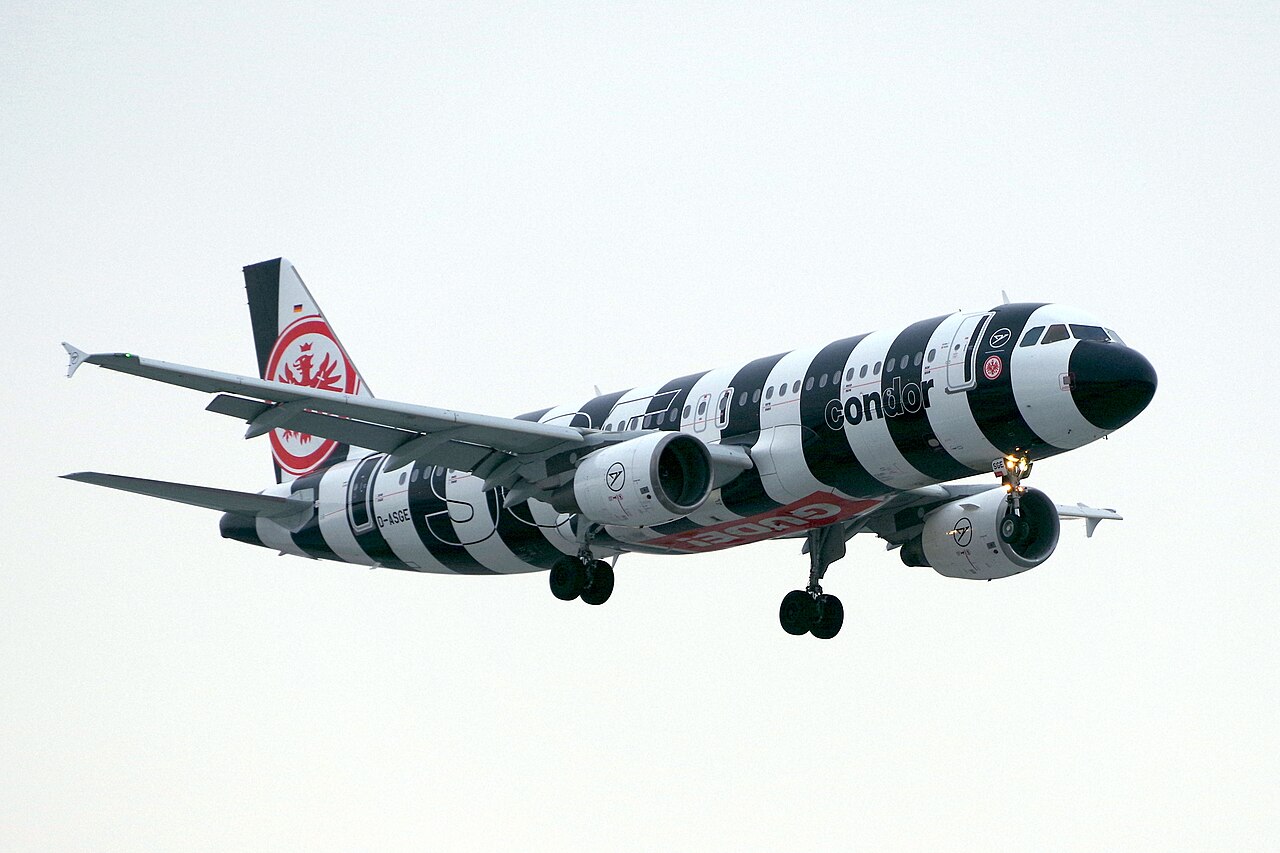 D-ASGE
