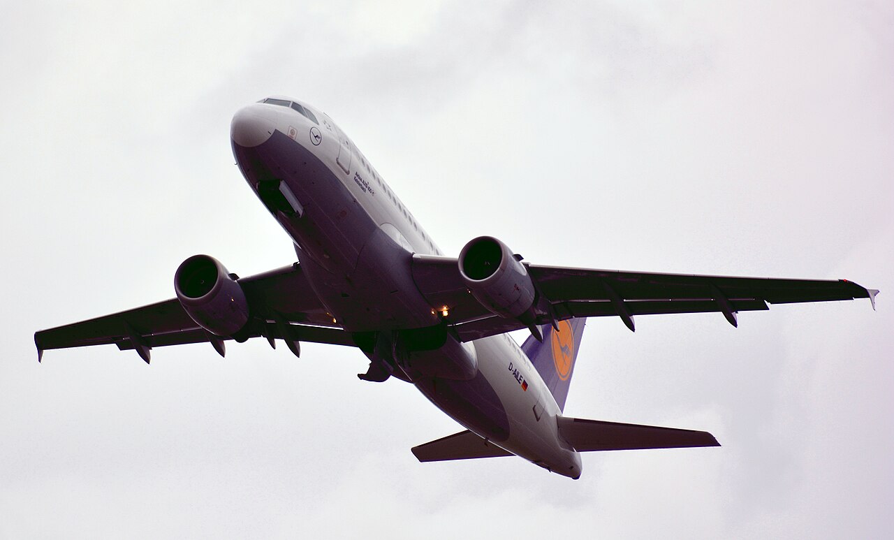 D-AILE