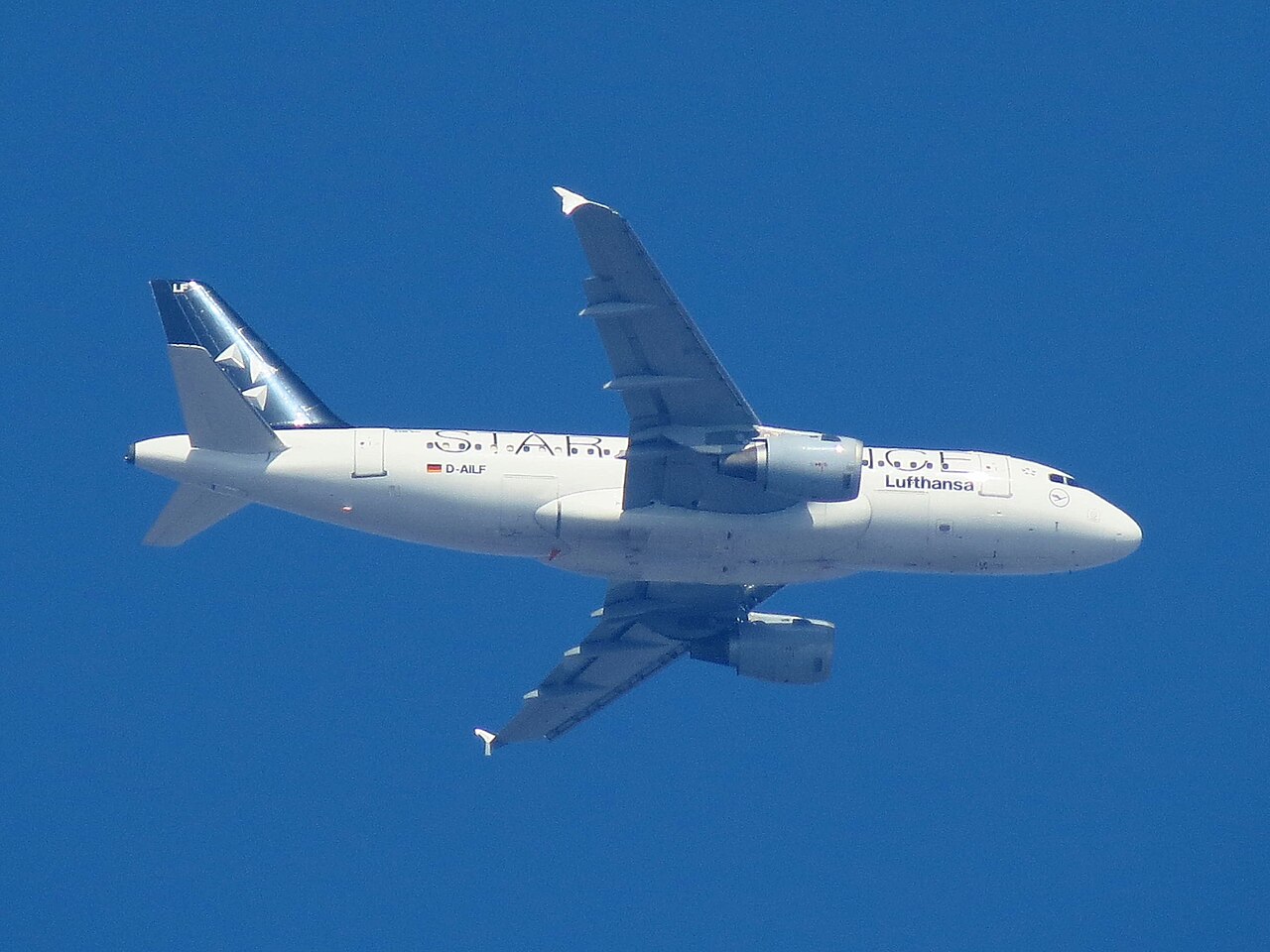 D-AILF