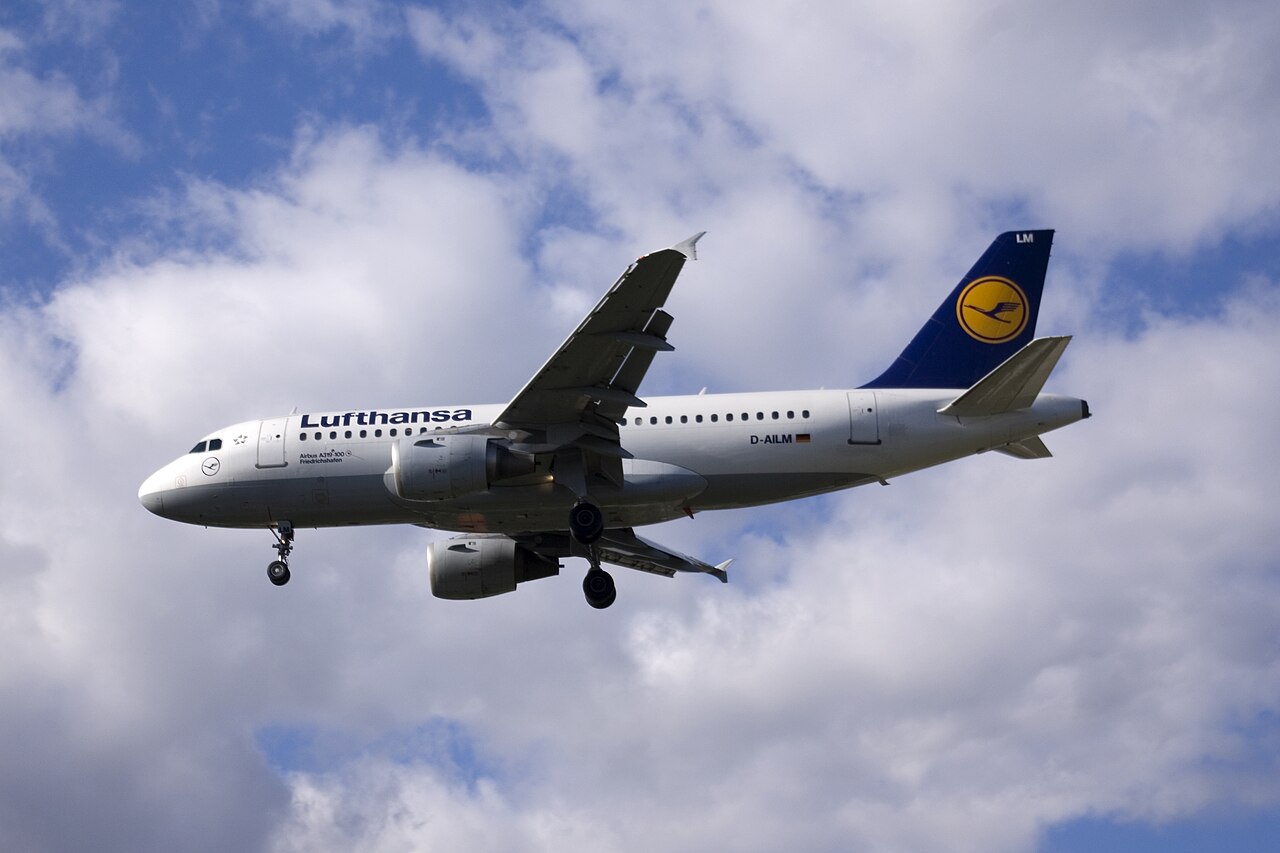 D-AILM