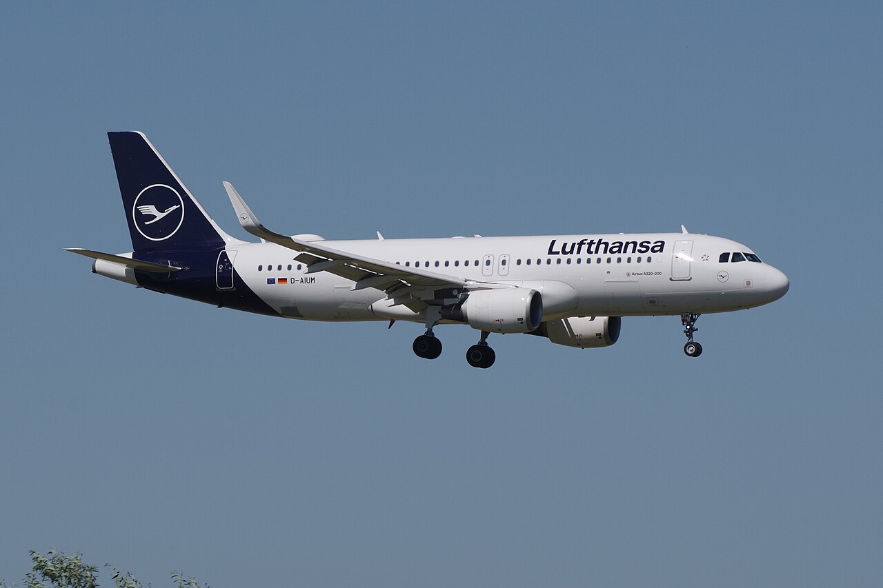 D-AIUM