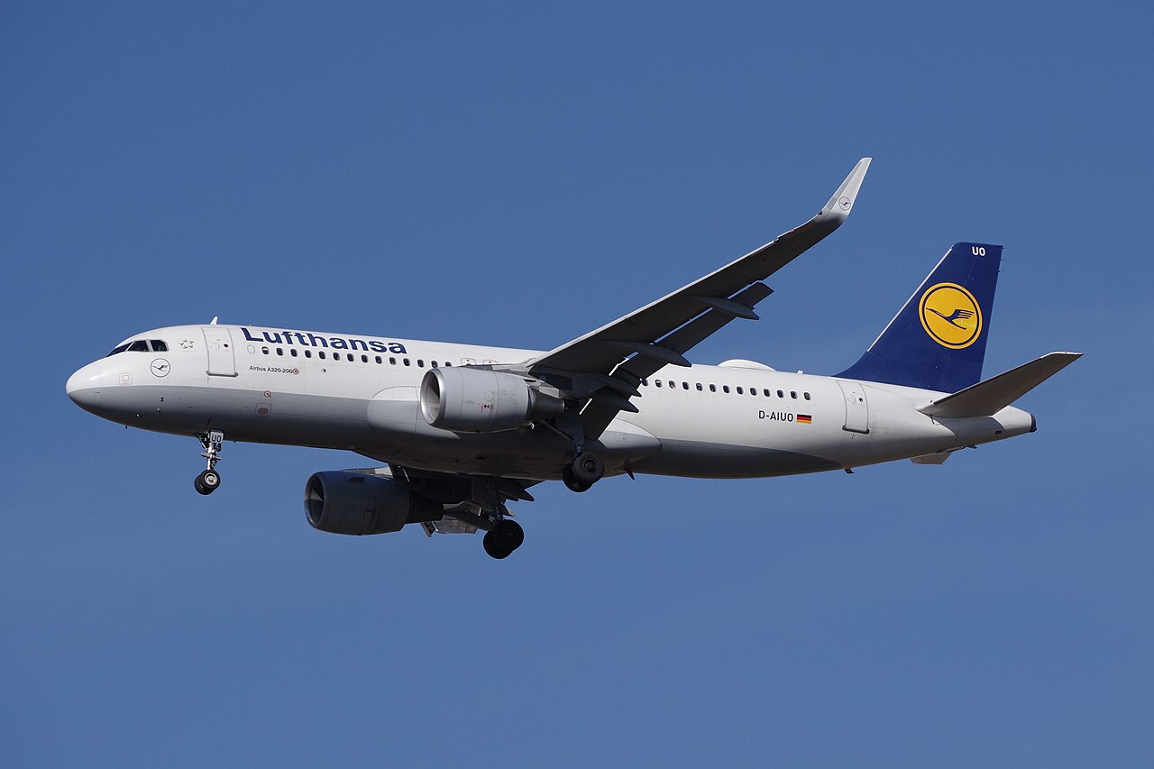 D-AIUO