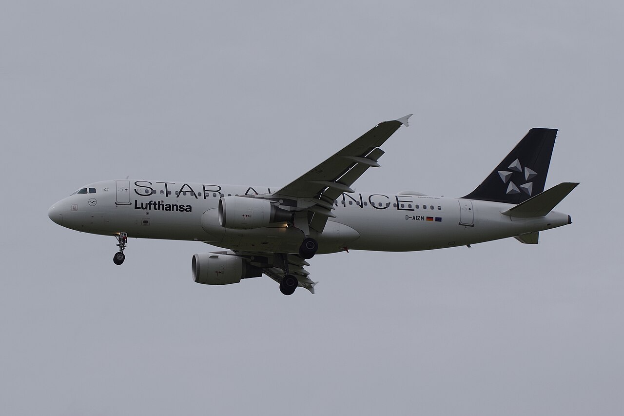 D-AIZM