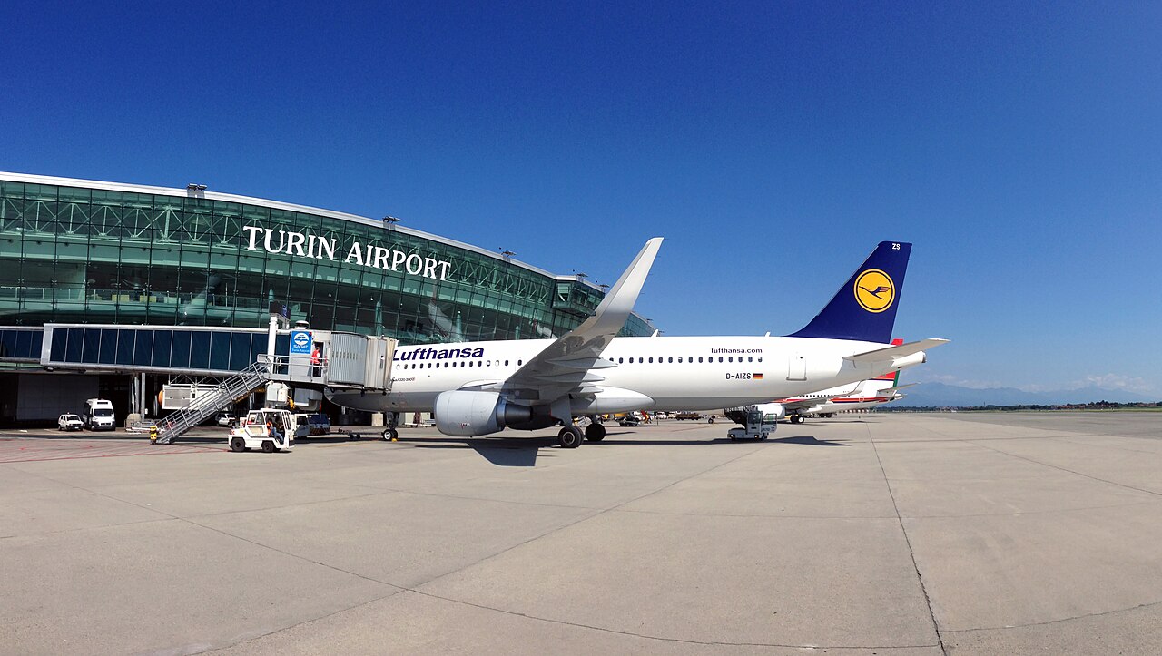 D-AIZS