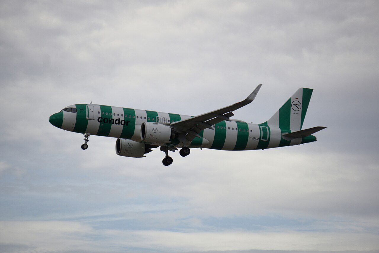 D-ANCK