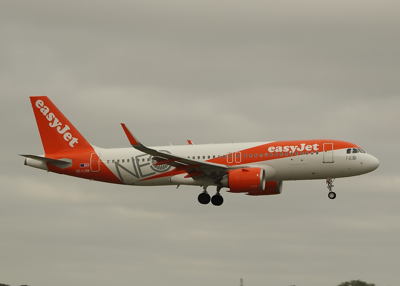 OE-LSM