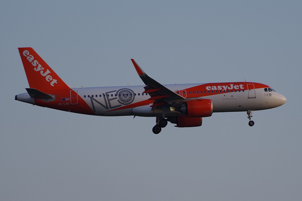 OE-LSO