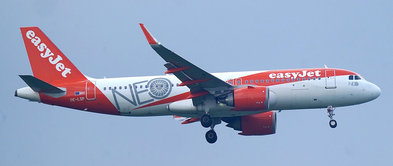 OE-LSP