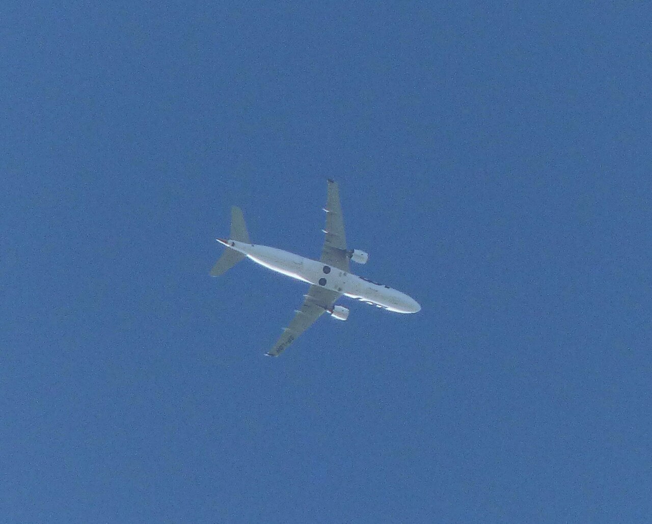 SP-LDH