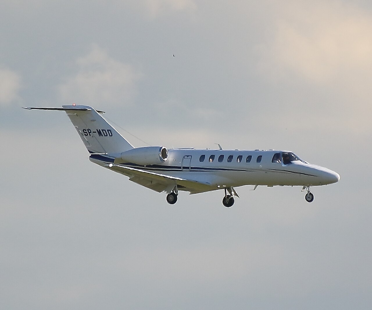 SP-MDD