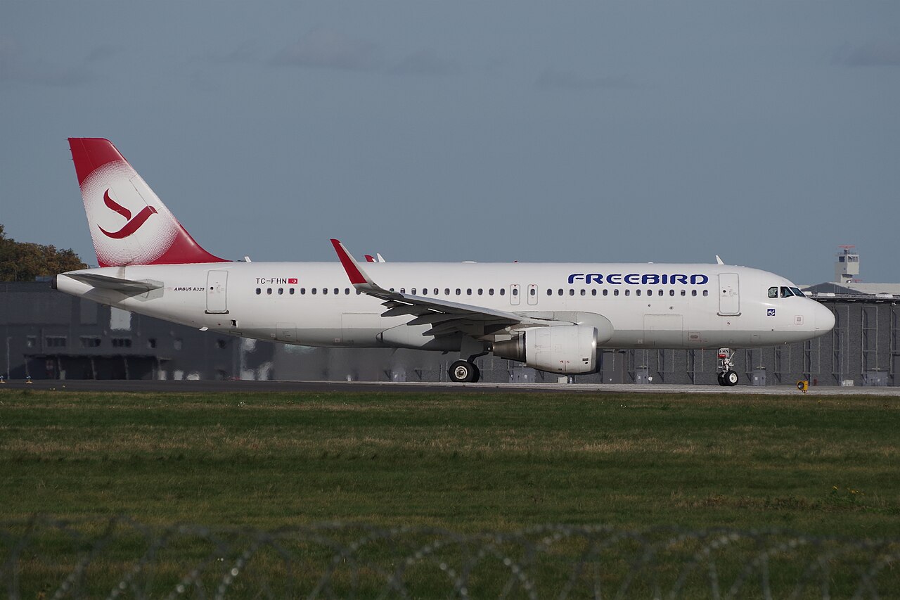 TC-FHN