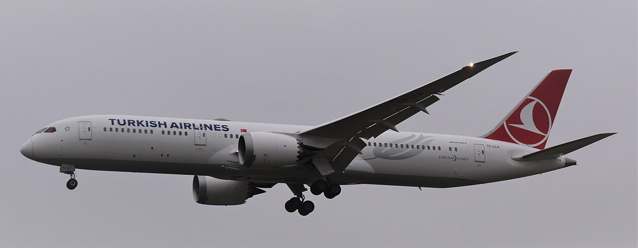 TC-LLG