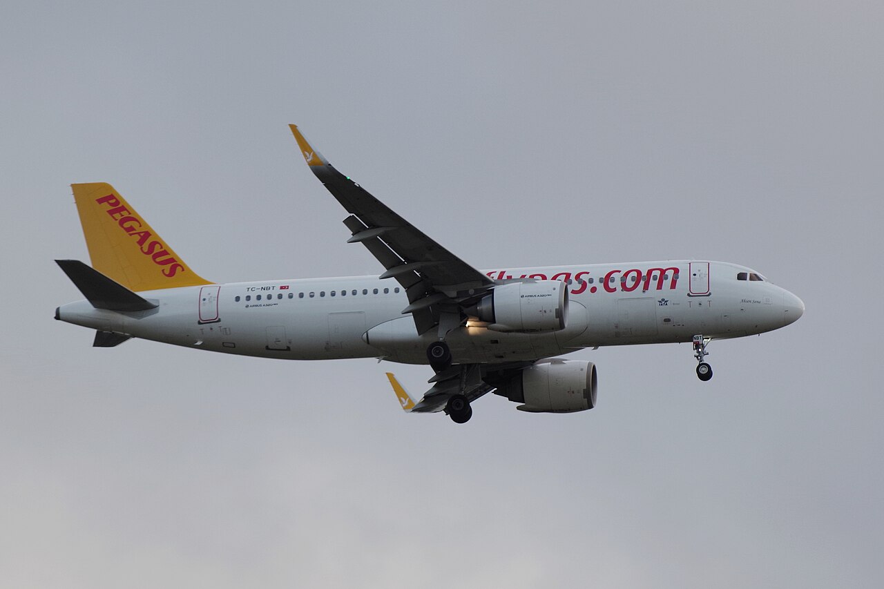 TC-NBT