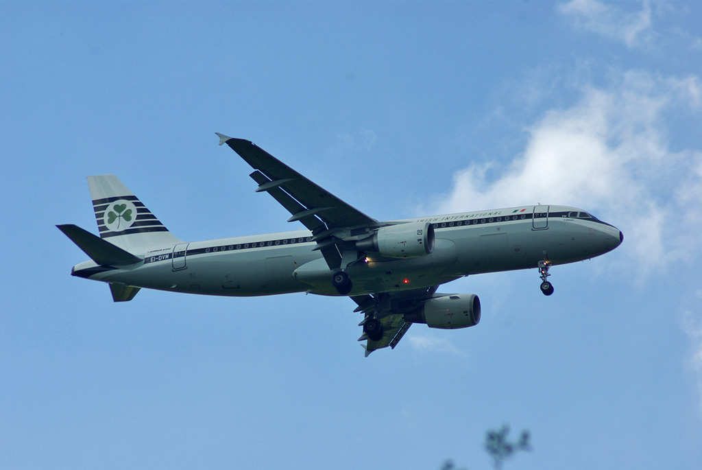 EI-DVM