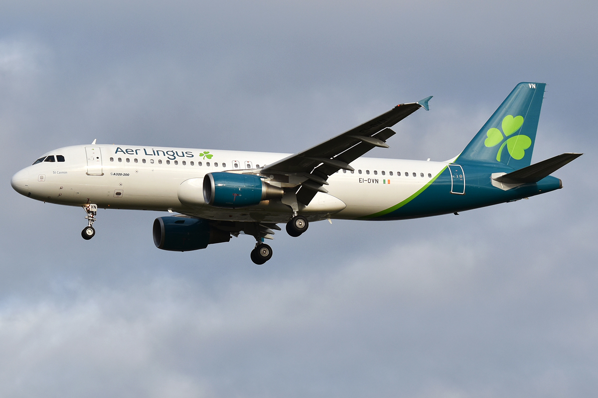 EI-DVN