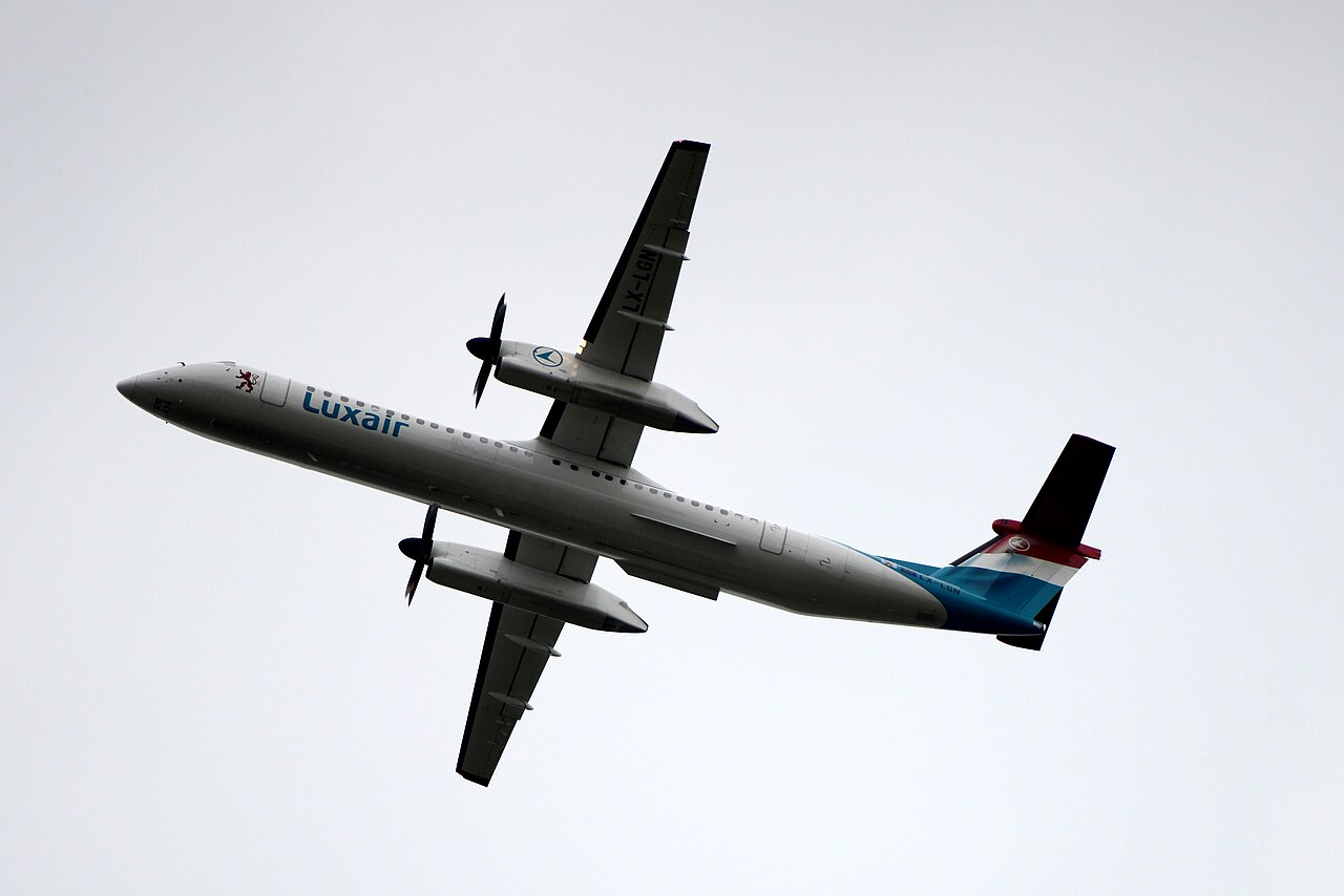 LX-LGN
