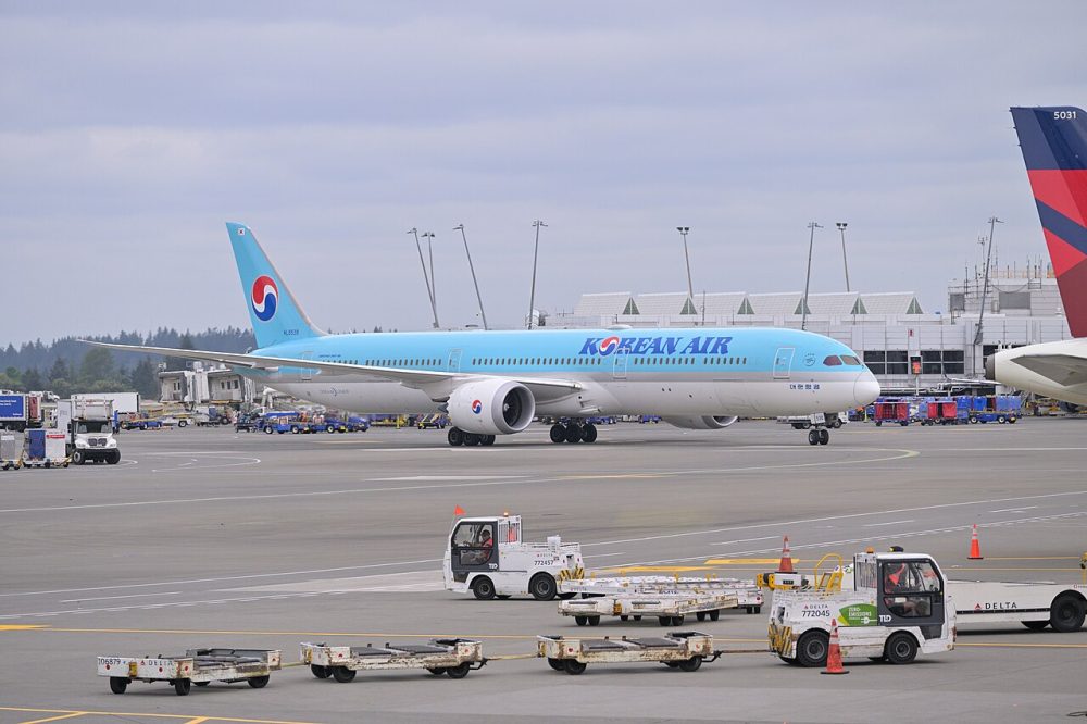 HL8538 — B781