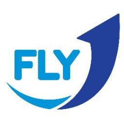 FlyOne
